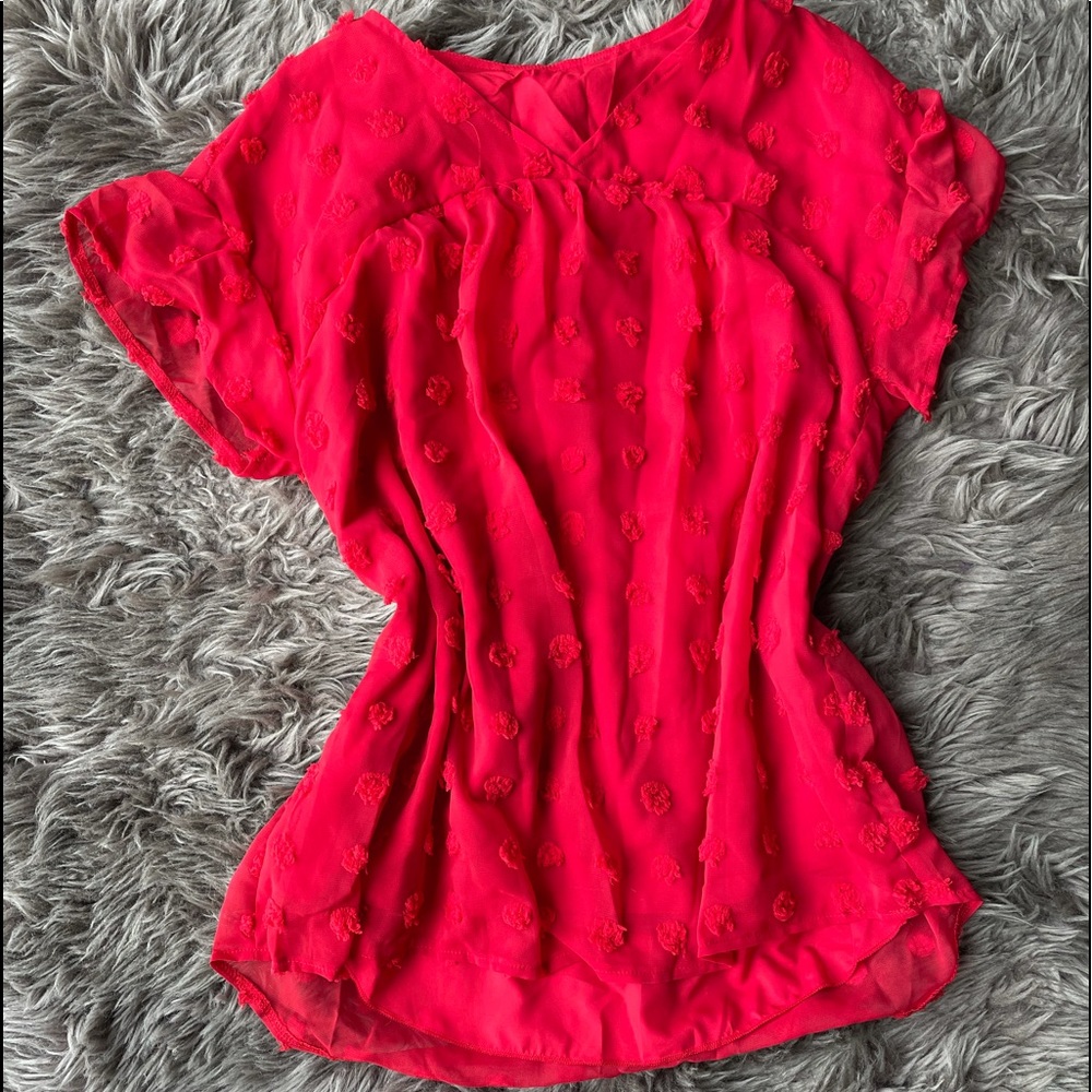 Red Swiss Dot Blouse